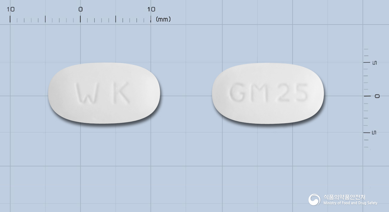 글리엠정 2/500mg