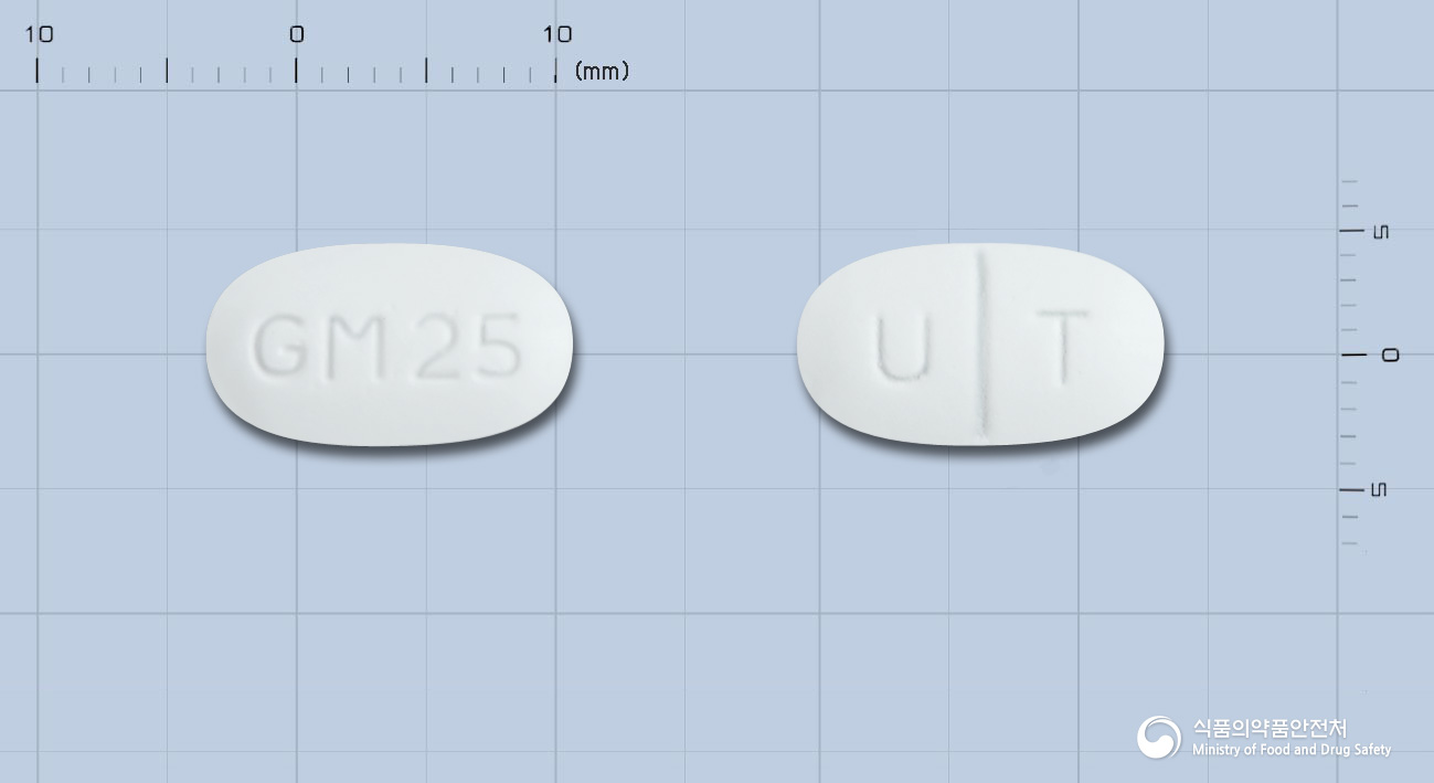 글리마릴엠정 2/500mg