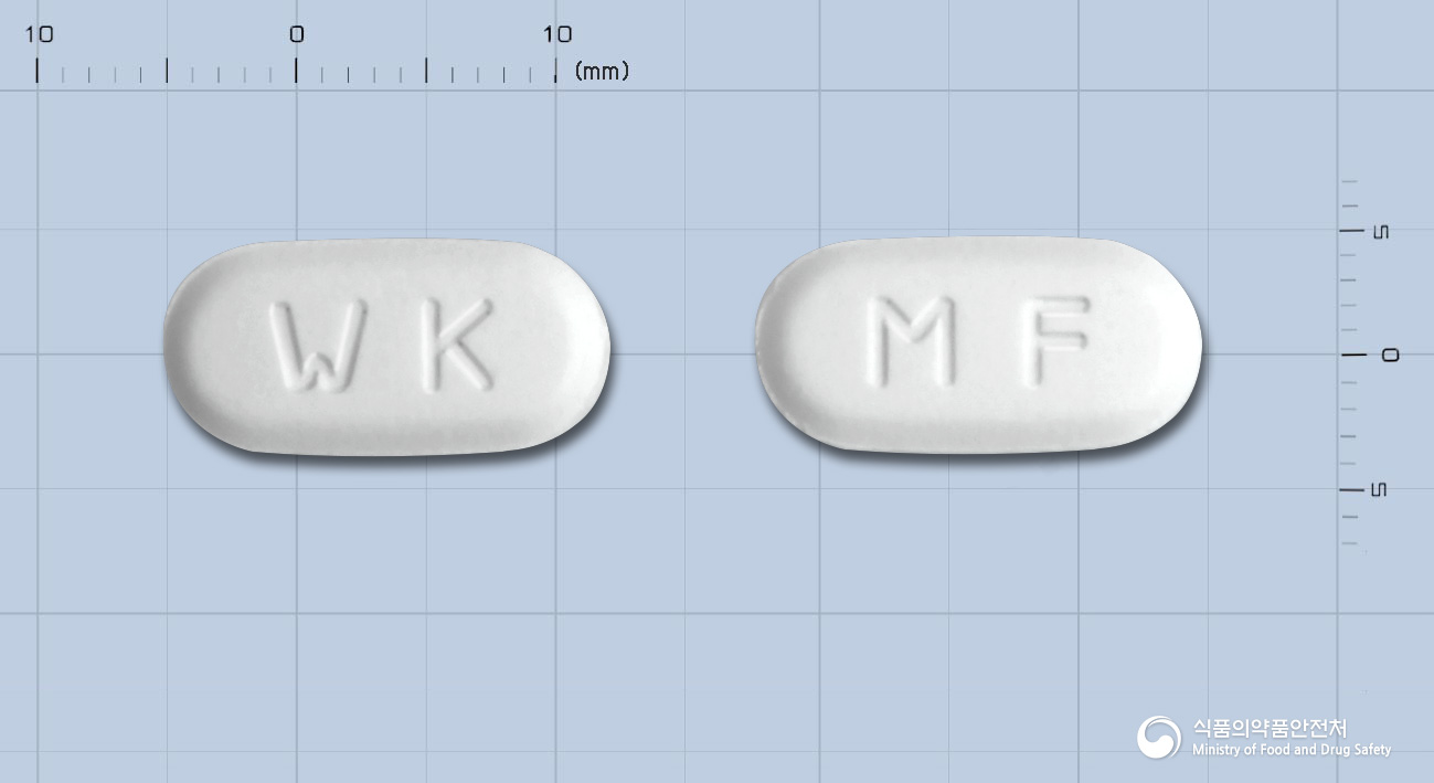 노보틴서방정 500mg