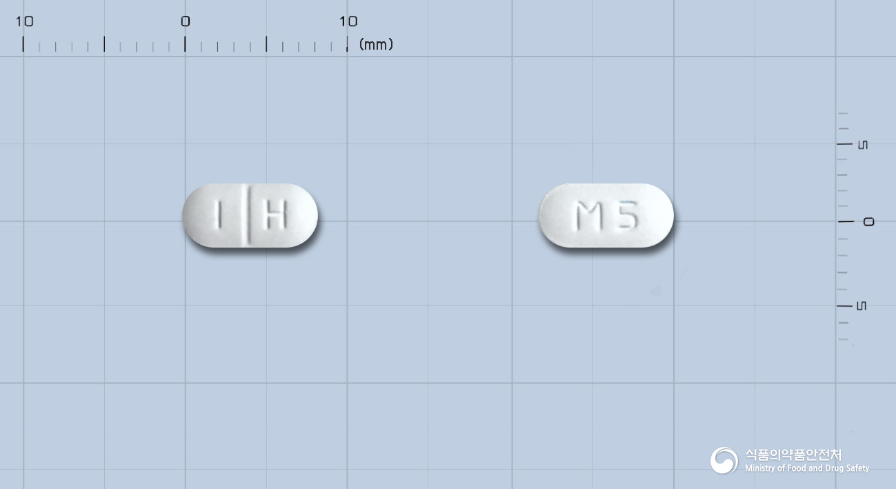 가모틴정 5mg