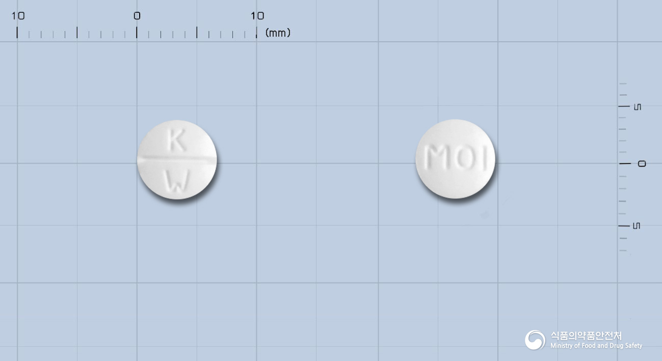 메치론정 1mg