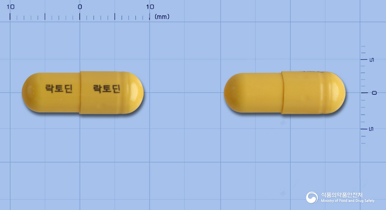 락토딘캡슐