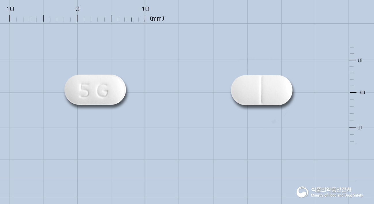 가모프리정 5mg