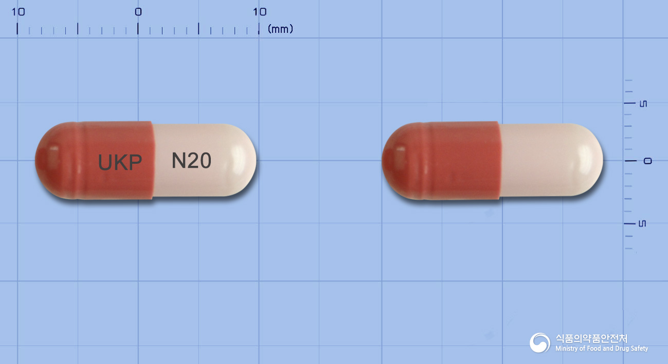 뉴섹캡슐 20mg (수출용)