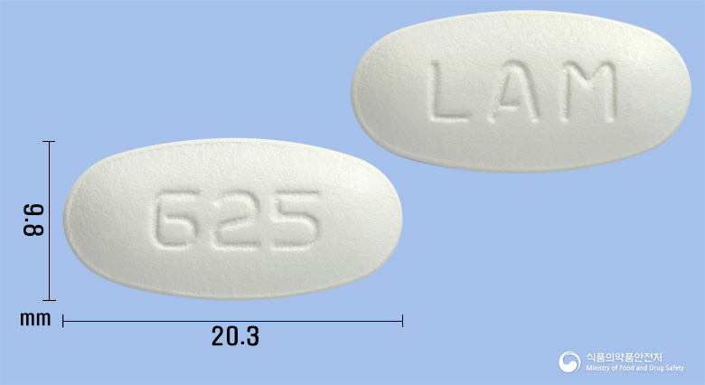 라모실린정 625mg