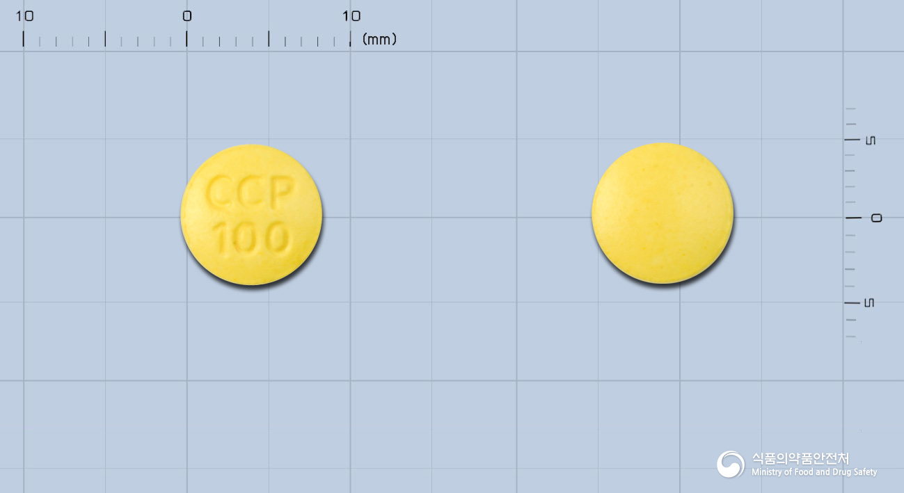 카세핀정 100mg