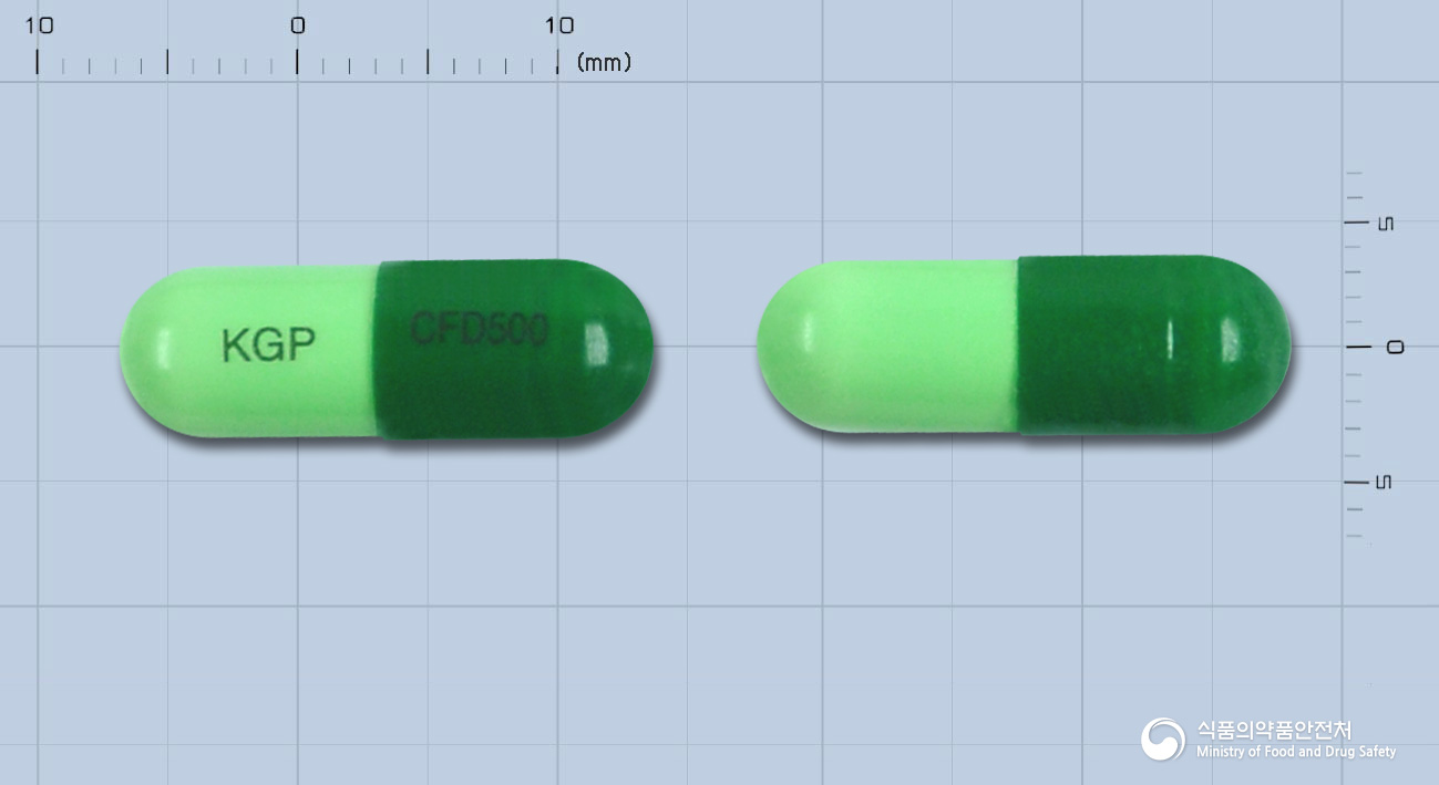 글로세파드록실캡슐 500mg
