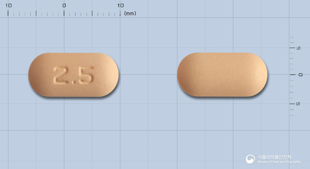 글루코반스정 500/2.5mg