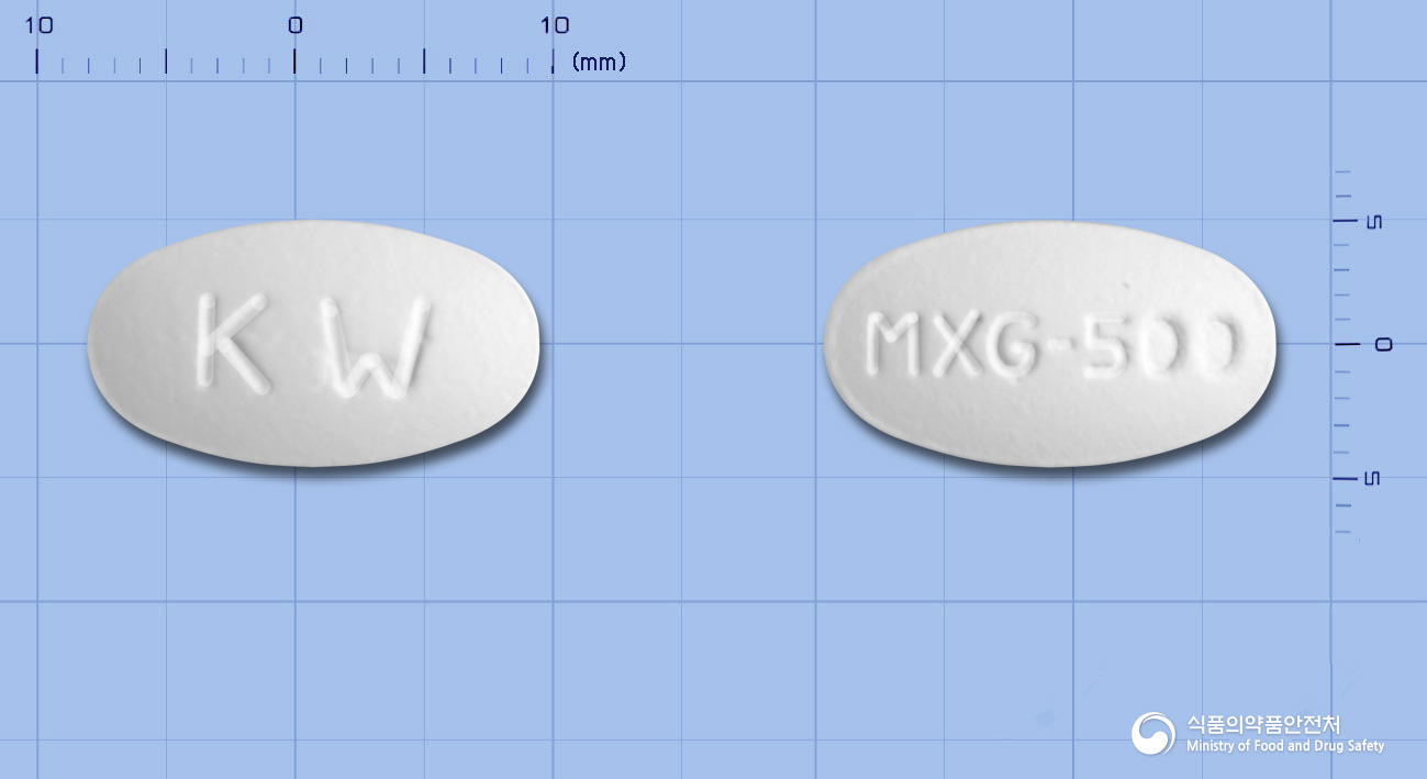 맥스실린듀오정 500mg