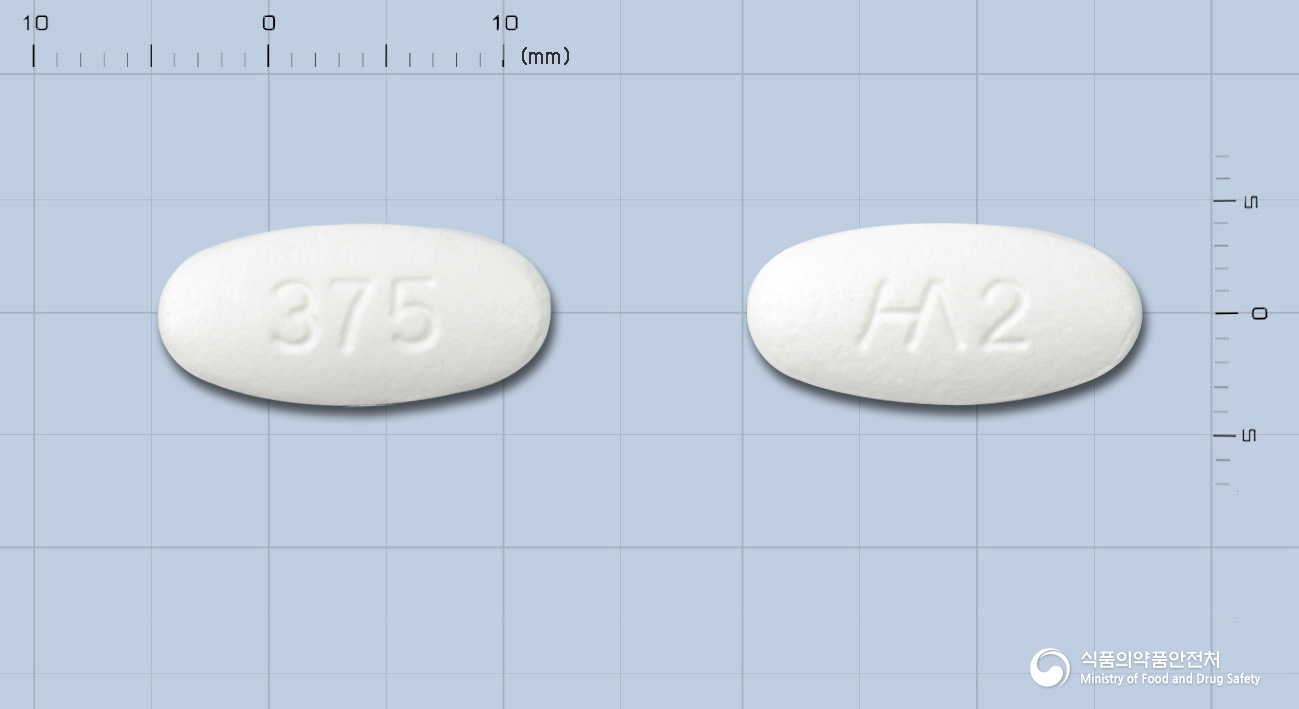 나노크라정 375mg