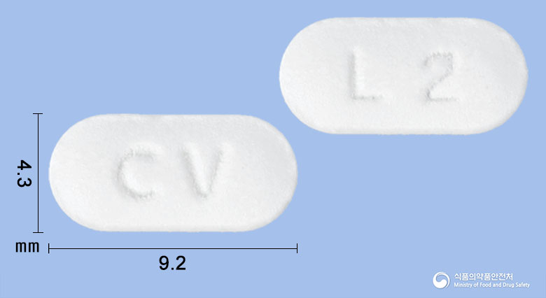 알러팜정 10mg