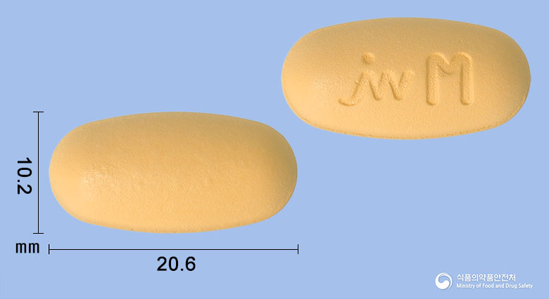 가드메트정 100/850mg