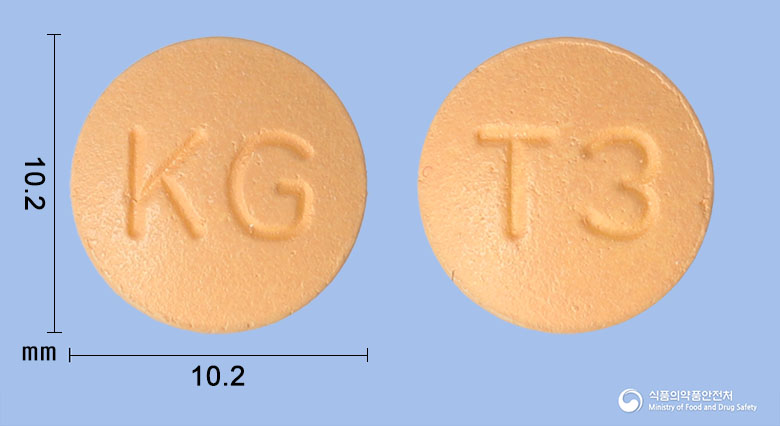 글로시타글정 100mg