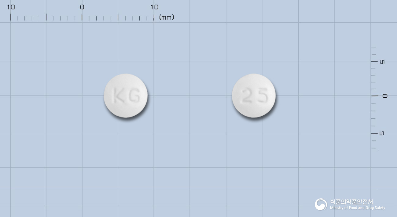 레보칸정 25mg